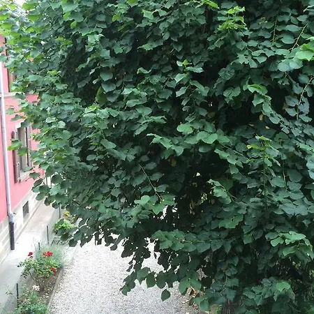 Apartman Charmant Proche Du Centre Ville De Strasbourg *